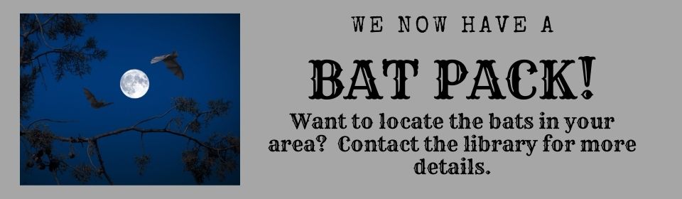 Borrow a Bat Pack from the Library